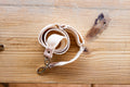 Classic Strap - White